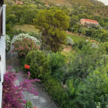 Eagle Nest Skiathos 아파트