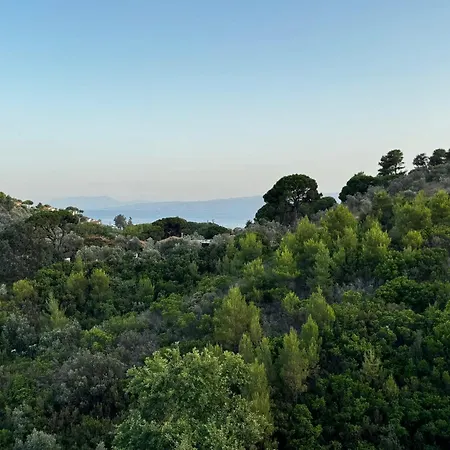 Eagle Nest Skiathos * 콜리오스
