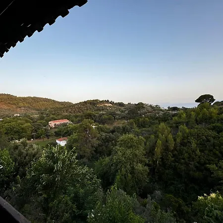 Eagle Nest Skiathos Appartement
