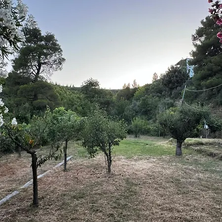 Eagle Nest Skiathos Kolios