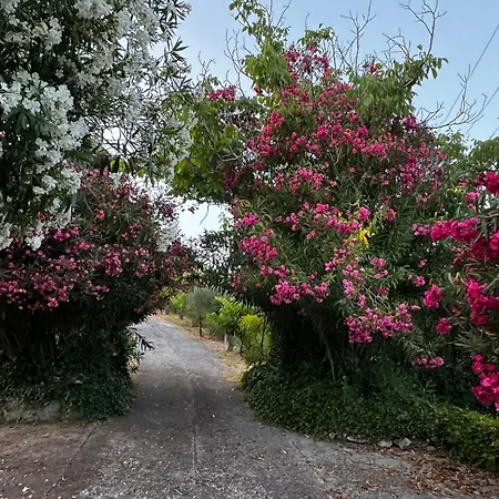 Eagle Nest Skiathos Appartement