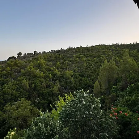 Eagle Nest Skiathos *